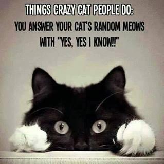 karenaj4341's Photos | Cats,Felines,cutes & Funnies ... | 4-pics; the l, in my luck...nd .things crazy people ...nd..