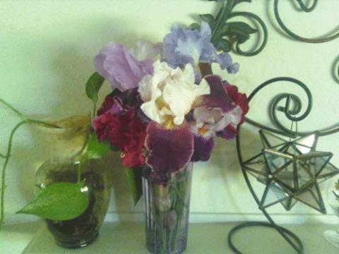 Photo 9 of 22