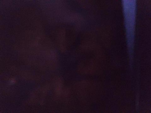 Photo 10 of 11