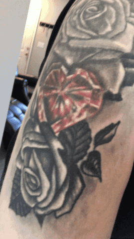 Photo 21 of 26