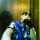 jr.-13's Photo