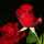 ashok-kumar's Photo